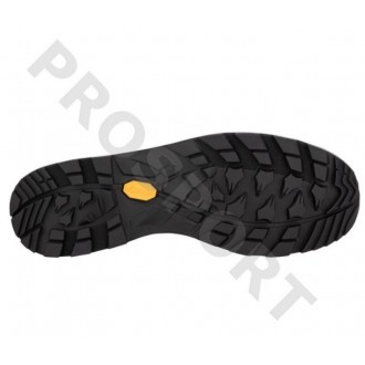 Buty Lowa Camino Evo GTX brązowy